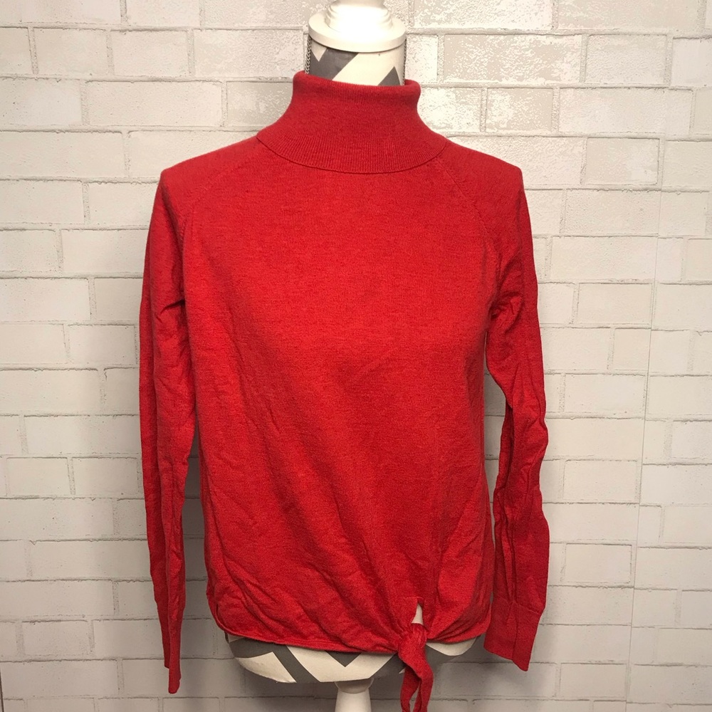 Gap turtleneck